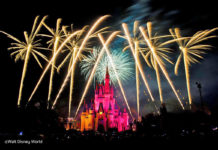 Wishes Nighttime Spectacular Magic Kingdom