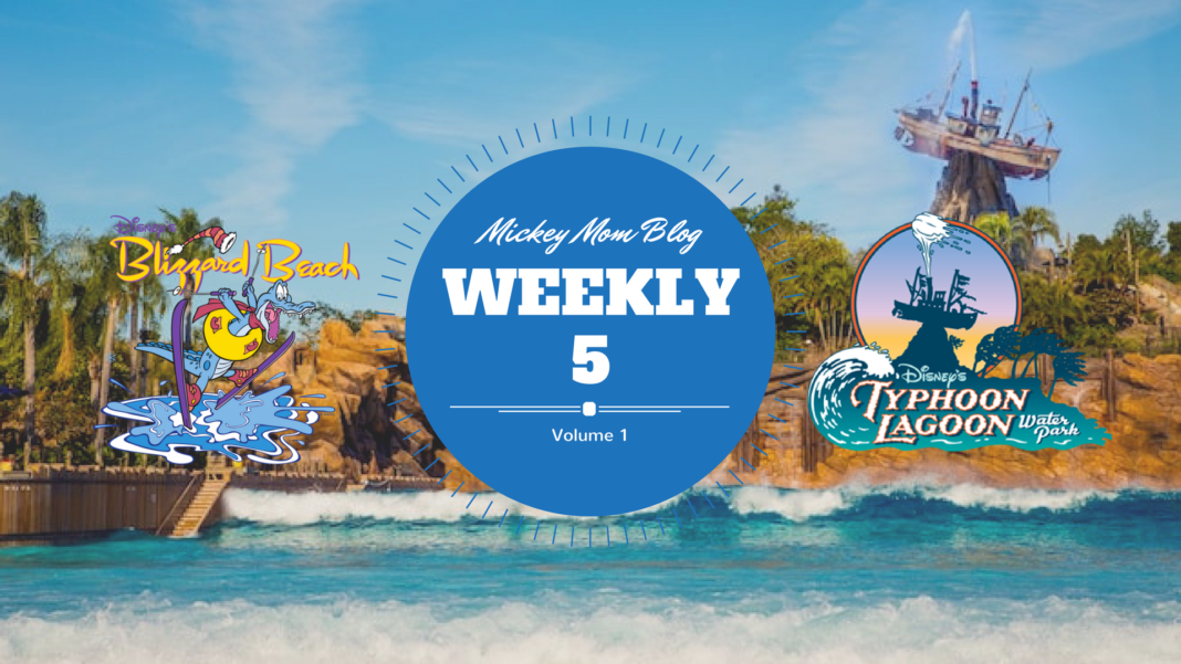 Weekly 5 Take Walt Disney World Water Park Toddler