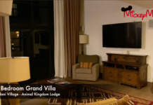 3 Bedroom Grand Villa- Kidani Village - Animal Kingdom Lodge and Villas