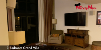 3 Bedroom Grand Villa- Kidani Village - Animal Kingdom Lodge and Villas