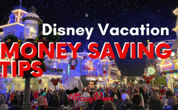 Tips For Saving Money On A Disney Trip Mickey Mom Blog YouTube Channel